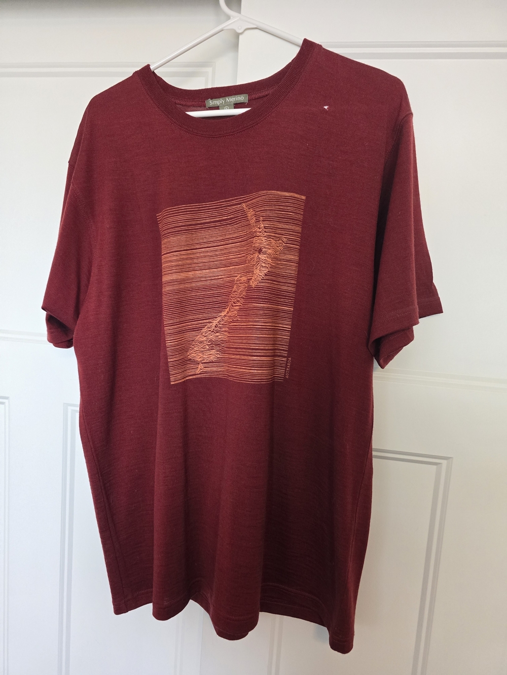 Men's Maroon Short Sleeve Graphic Tee